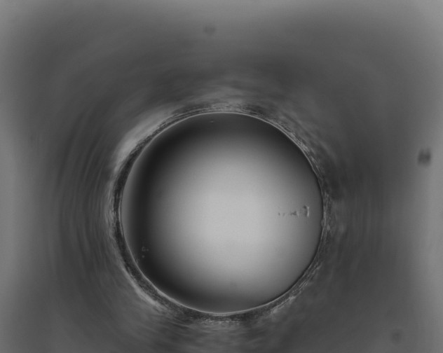 X0000094780245200711241345