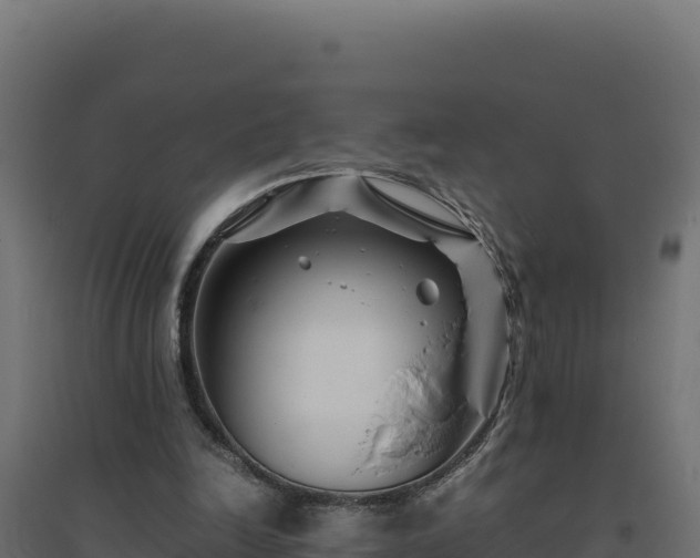 X0000094780246200711241345