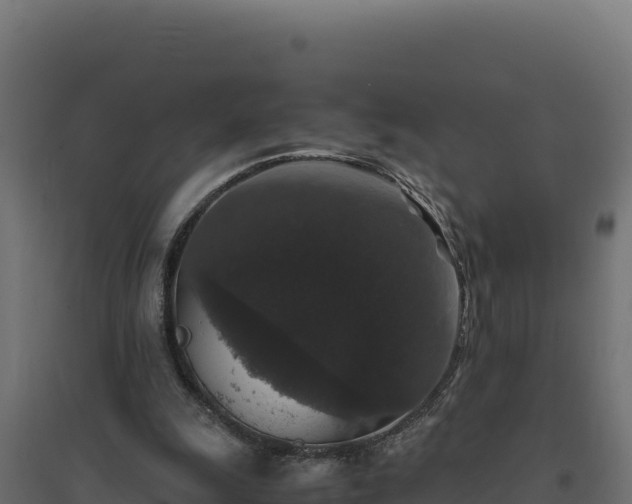 X0000094780247200711241345