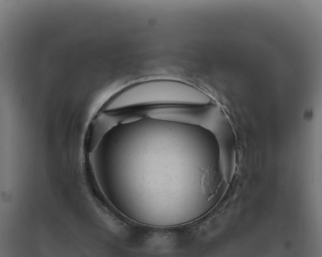 X0000094780248200711241345