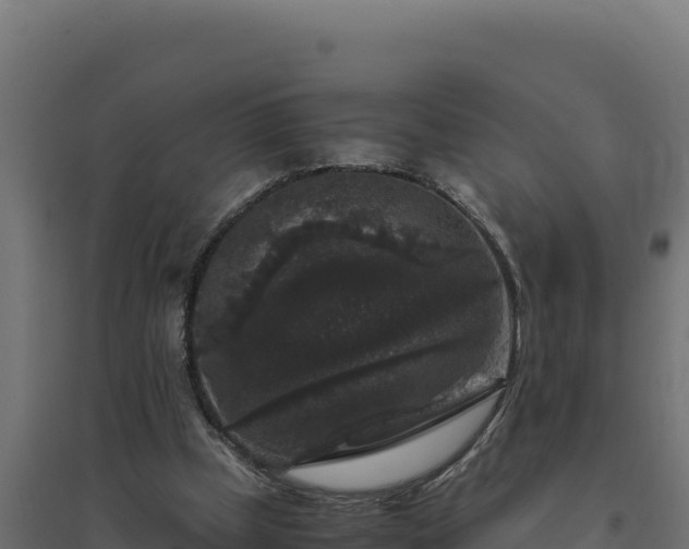X0000094780249200711241345