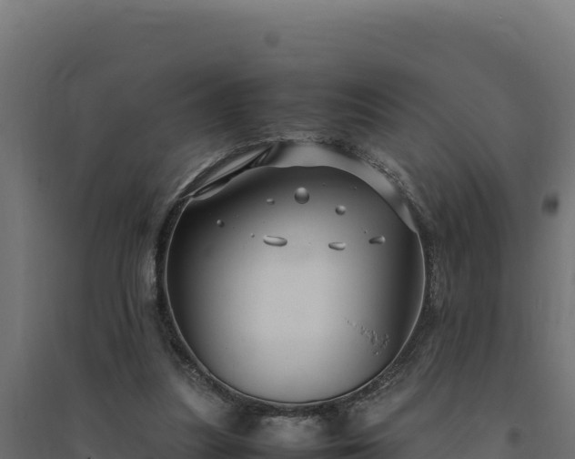 X0000094780251200711241345