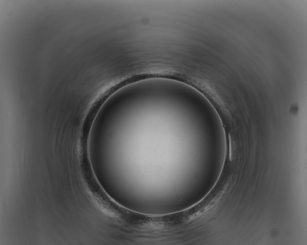 X0000094780252200711241345