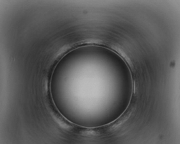 X0000094780253200711241345