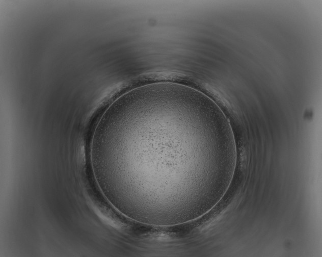X0000094780254200711241345