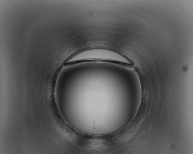 X0000094780255200711241345