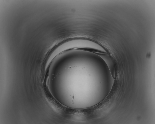 X0000094780256200711241345