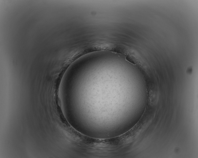 X0000094780259200711241345