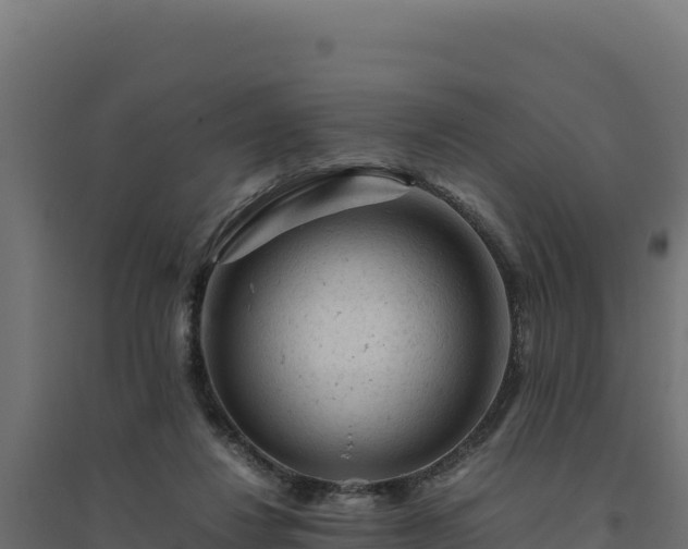 X0000094780260200711241345
