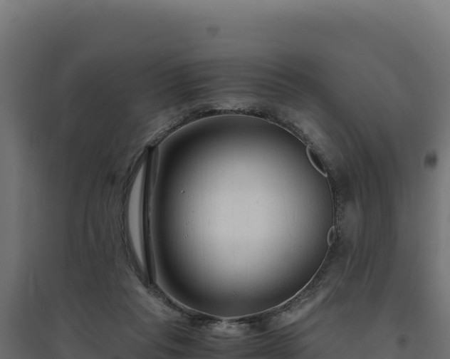 X0000094780261200711241345