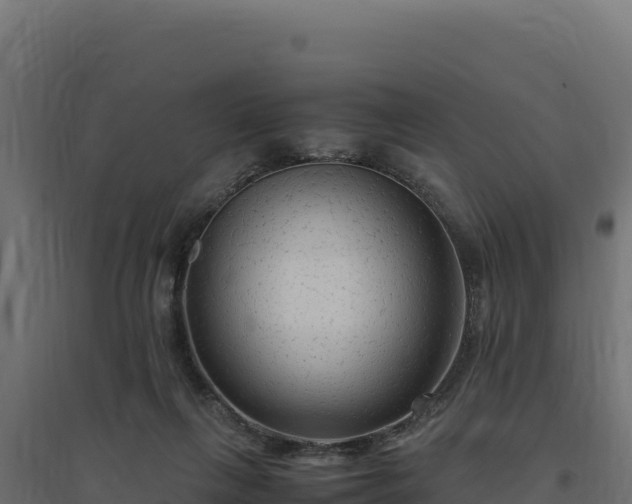X0000094780263200711241345