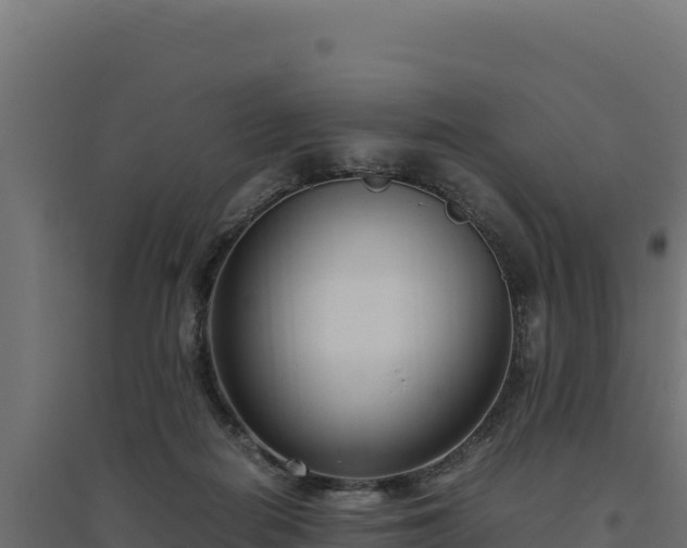 X0000094780266200711241345