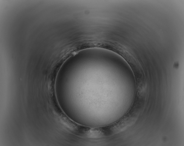 X0000094780270200711241345