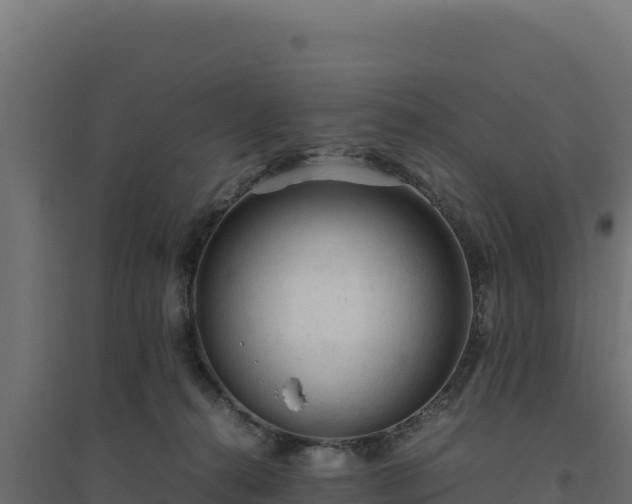 X0000094780272200711241345