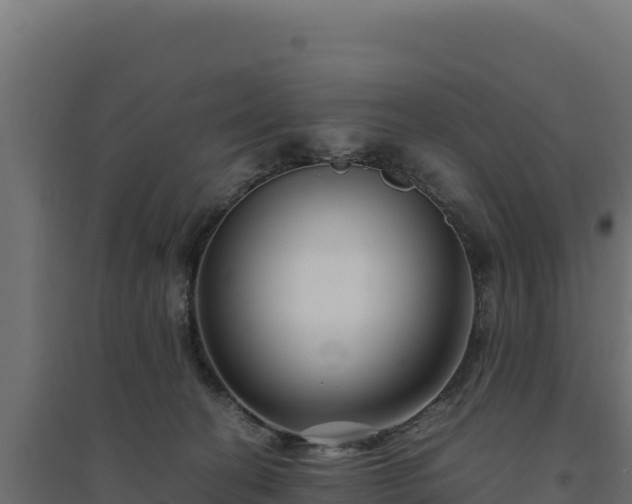 X0000094780274200711241345