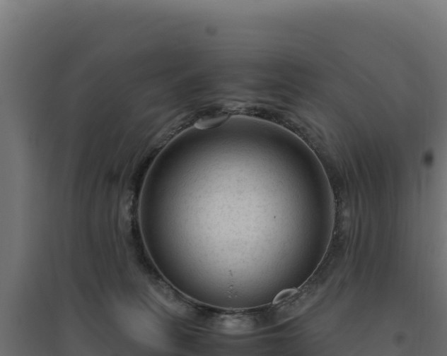 X0000094780275200711241345