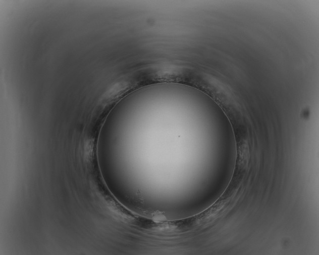 X0000094780278200711241345
