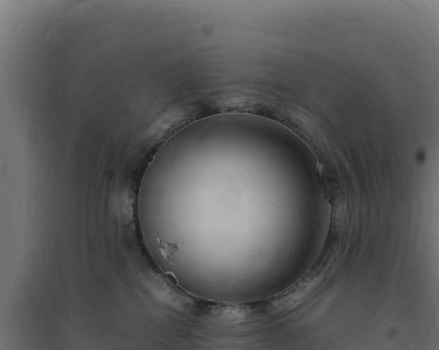 X0000094780282200711241346