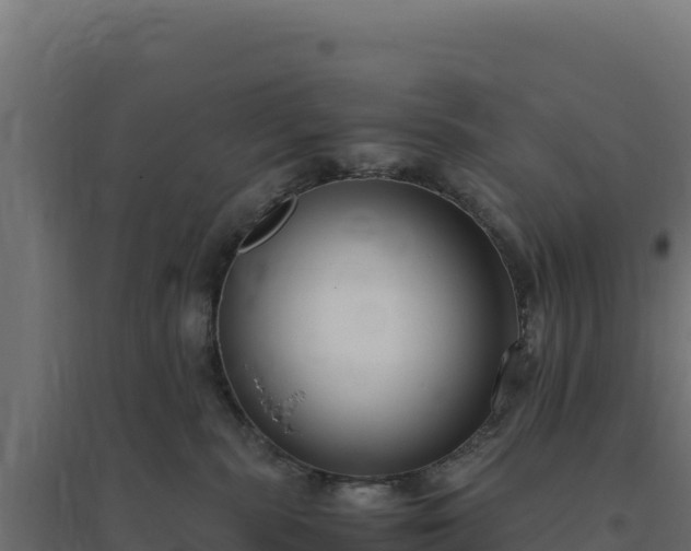 X0000094780283200711241346
