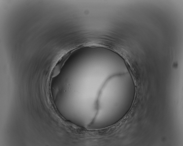 X0000094780289200711241345