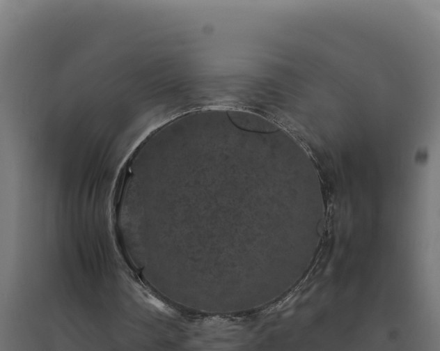 X0000094780290200711241345