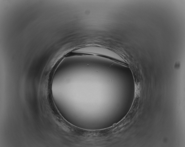 X0000094780291200711241345