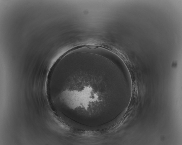 X0000094780292200711241345