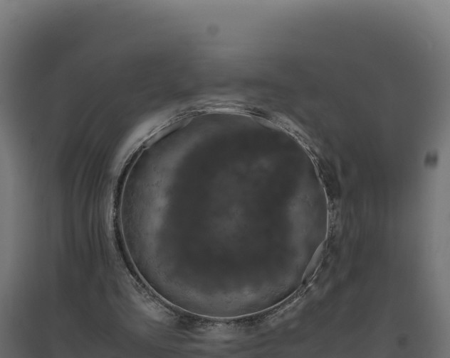 X0000094780293200711241345
