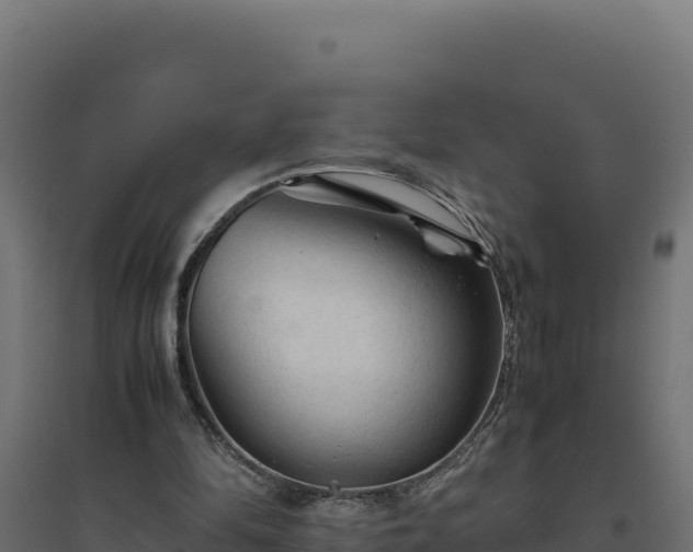 X0000094780294200711241345