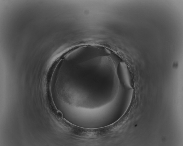 X0000094780295200711241345