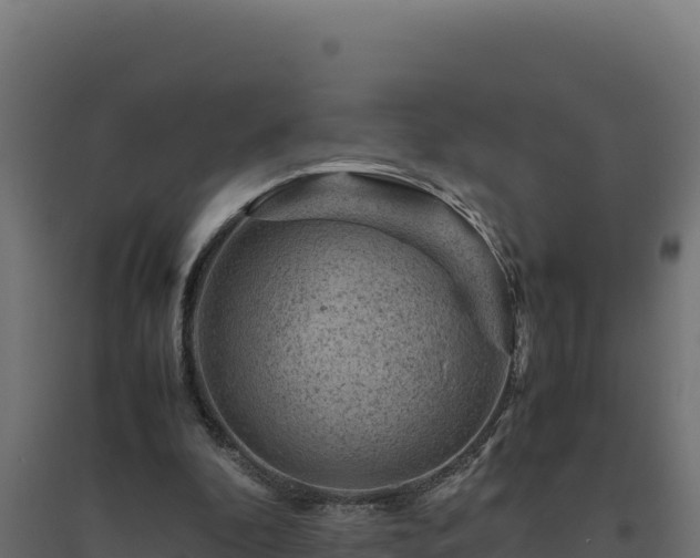 X0000094780296200711241345