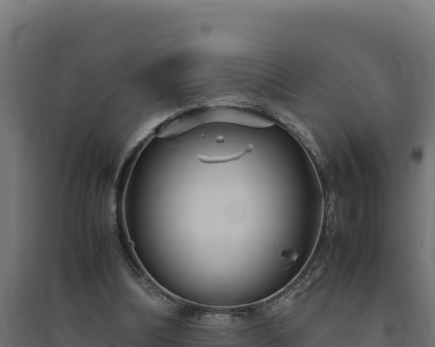 X0000094780298200711241345