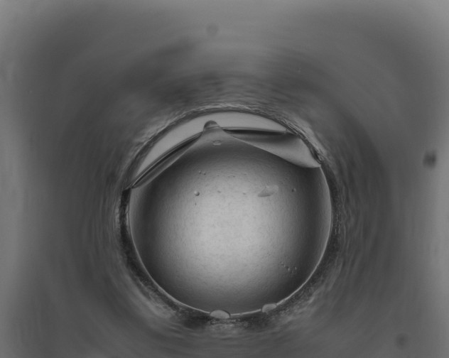 X0000094780299200711241345