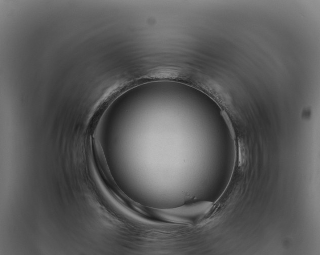 X0000094780300200711241345