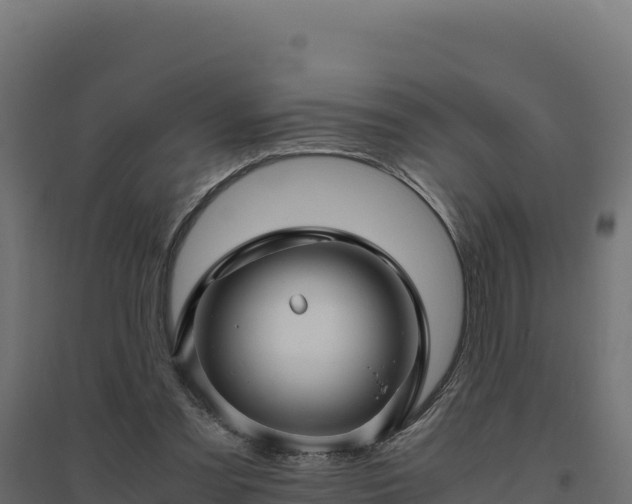 X0000094780301200711241345