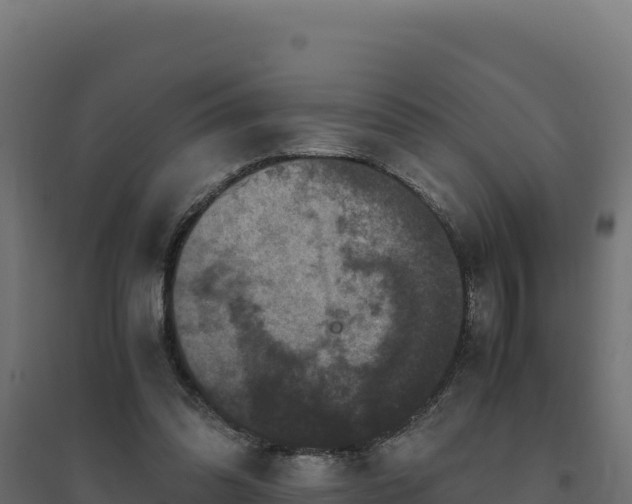 X0000094780302200711241345
