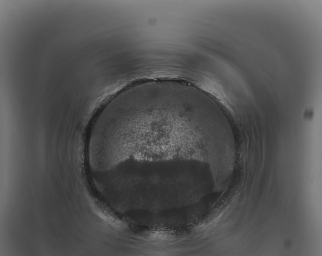 X0000094780303200711241345
