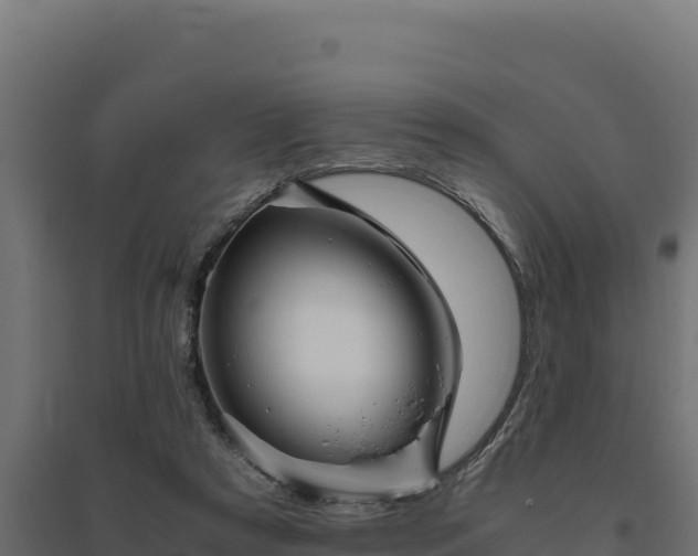 X0000094780305200711241345