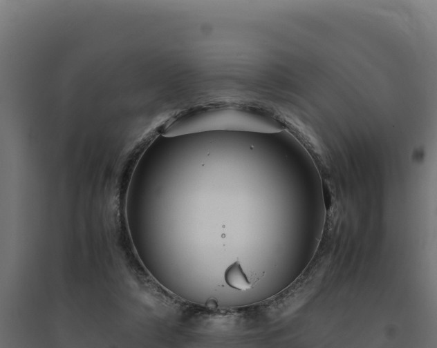 X0000094780306200711241345