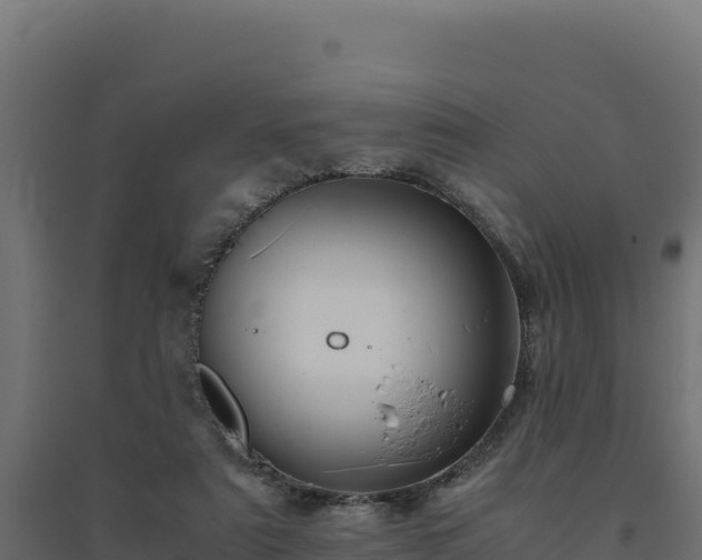 X0000094780307200711241345