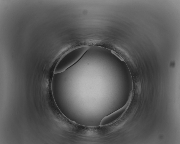 X0000094780308200711241345