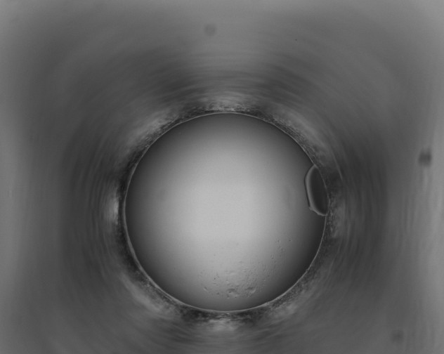 X0000094780310200711241345