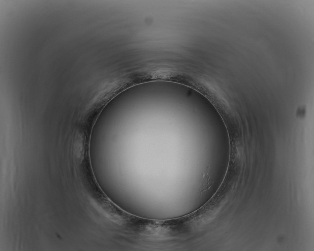 X0000094780311200711241345