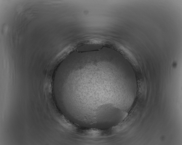 X0000094780313200711241345