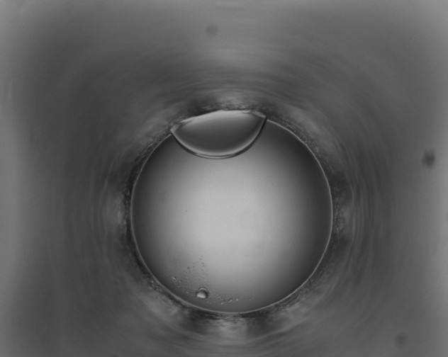 X0000094780317200711241345