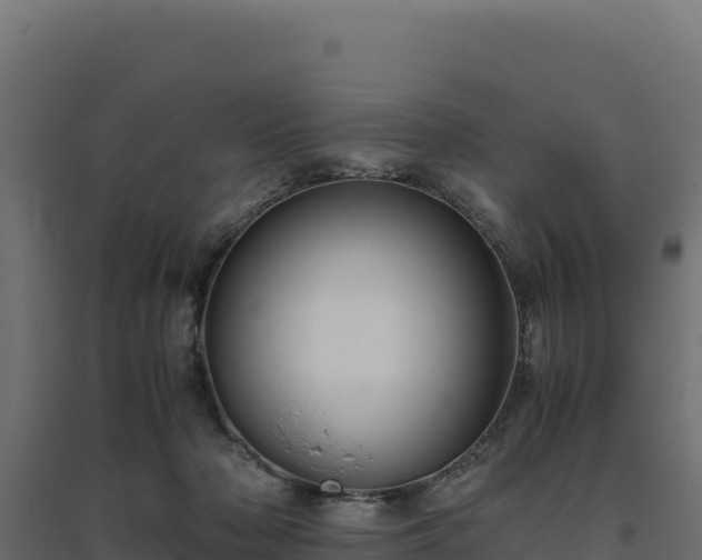 X0000094780318200711241345