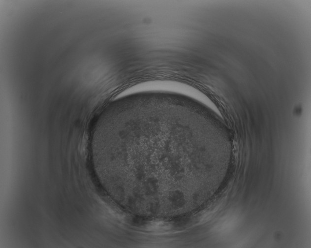 X0000094780319200711241345