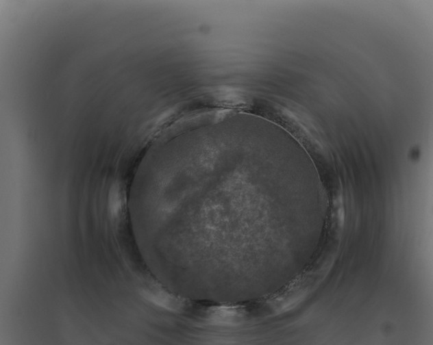 X0000094780320200711241344