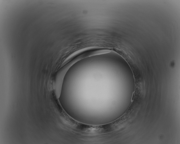 X0000094780323200711241344