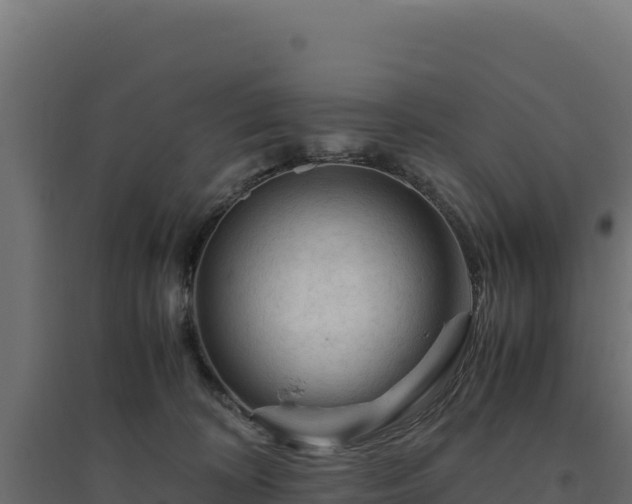 X0000094780324200711241344